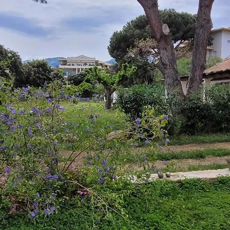 Maghjo Calvi Corsica Διαμέρισμα *